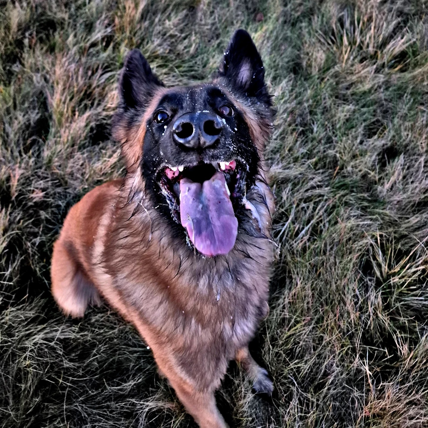 Lukas 4