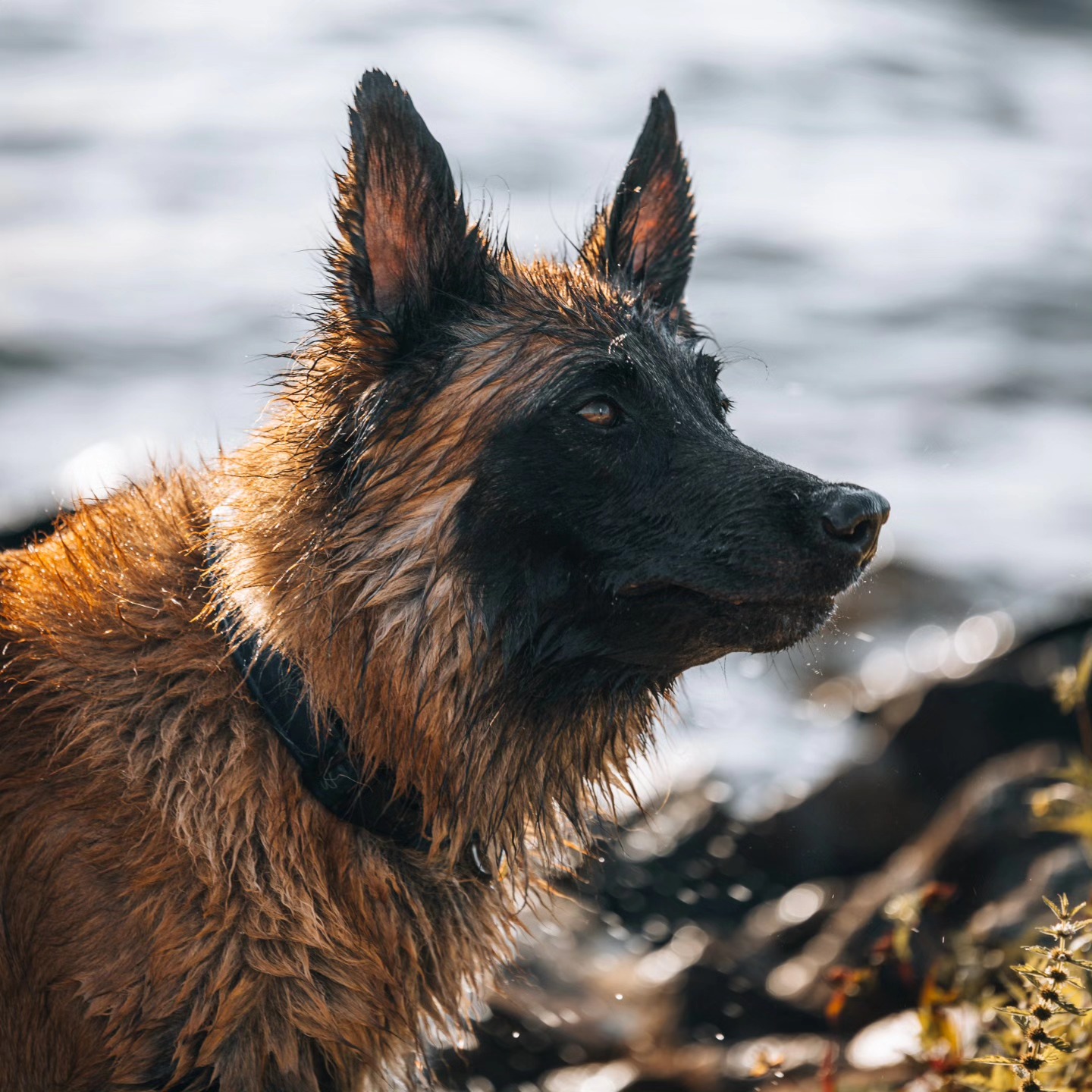 540008667_10230266804513386_3946219255114160444_n